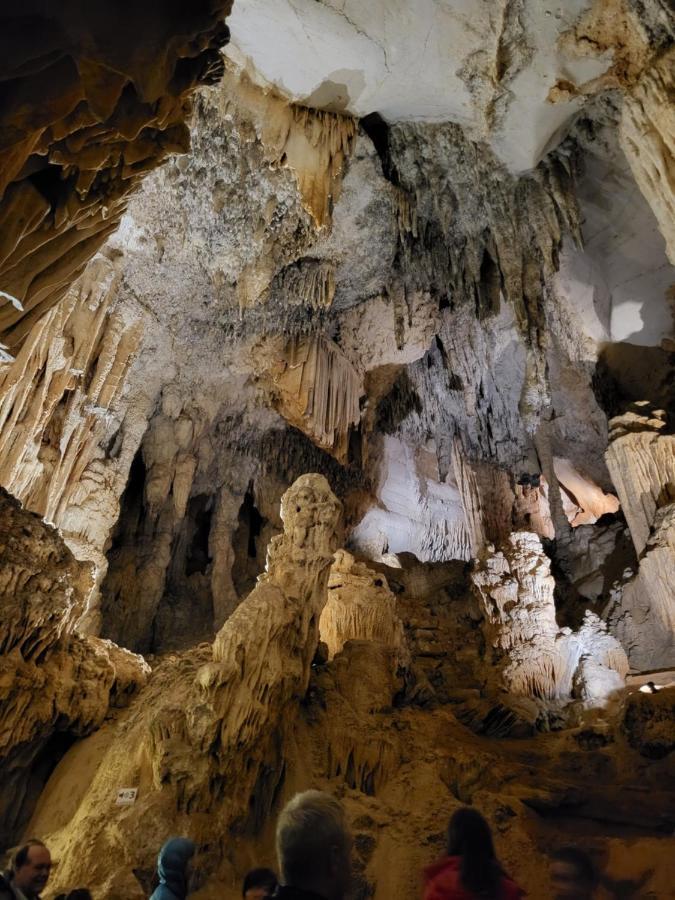 Gites Chez Daniel "Cevennes 1" Mars  Eksteriør bilde